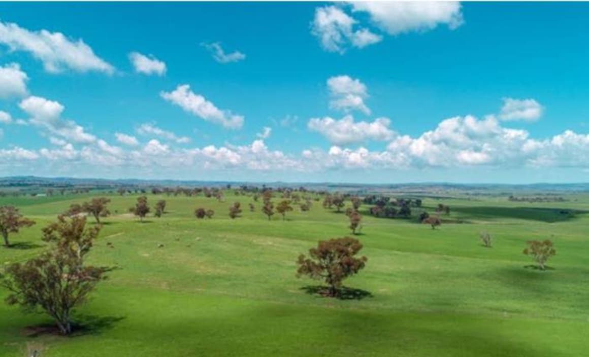 Rural NSW farm Kenda Park sells for 7.1 million under th...